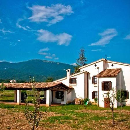 La Prediletta Country House Rapino Kültér fotó