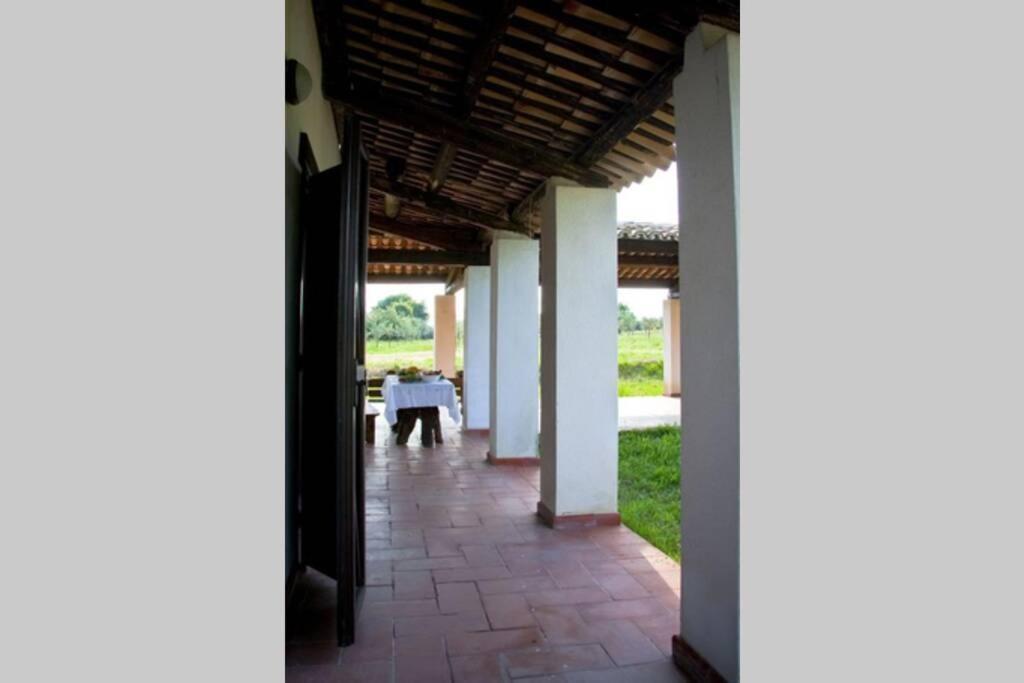 La Prediletta Country House Rapino Kültér fotó